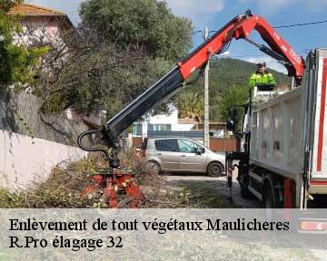 Enlèvement de tout végétaux maulicheres-32400 R.Pro élagage 32