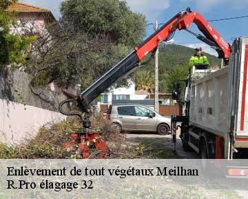 Enlèvement de tout végétaux meilhan-32420 R.Pro élagage 32