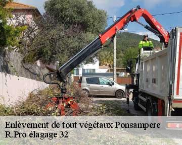Enlèvement de tout végétaux ponsampere-32300 R.Pro élagage 32