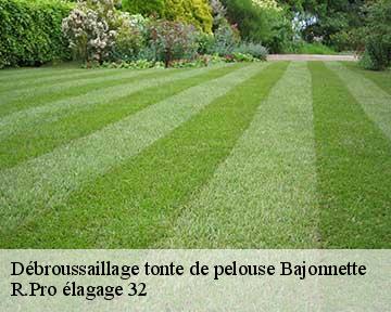Débroussaillage tonte de pelouse bajonnette-32120 R.Pro élagage 32