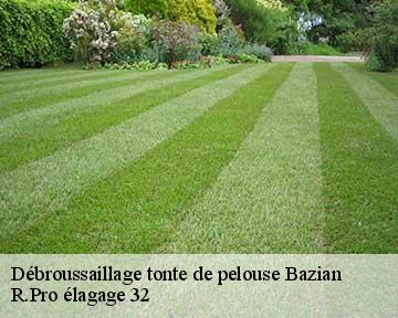Débroussaillage tonte de pelouse bazian-32320 R.Pro élagage 32