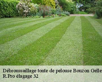 Débroussaillage tonte de pelouse bouzon-gellenave-32290 R.Pro élagage 32