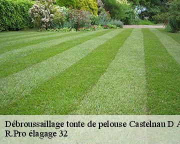 Débroussaillage tonte de pelouse castelnau-d-auzan-32440 R.Pro élagage 32