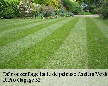 Débroussaillage tonte de pelouse  castera-verduzan-32410 R.Pro élagage 32