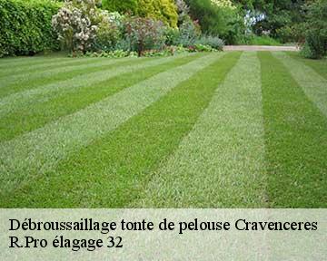 Débroussaillage tonte de pelouse cravenceres-32110 R.Pro élagage 32