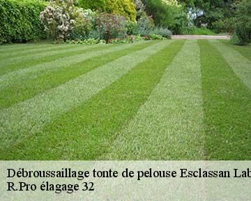 Débroussaillage tonte de pelouse esclassan-labastide-32140 R.Pro élagage 32