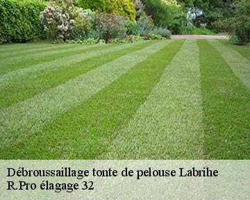 Débroussaillage tonte de pelouse labrihe-32120 R.Pro élagage 32