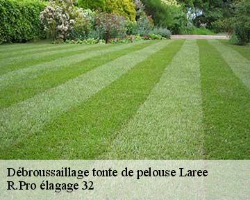 Débroussaillage tonte de pelouse laree-32150 R.Pro élagage 32