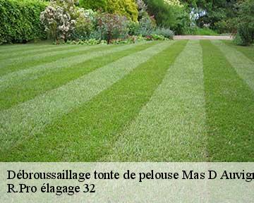 Débroussaillage tonte de pelouse  mas-d-auvignon-32700 R.Pro élagage 32