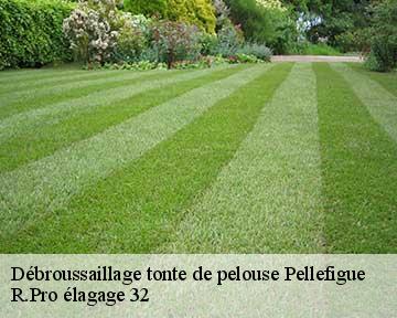 Débroussaillage tonte de pelouse pellefigue-32420 R.Pro élagage 32