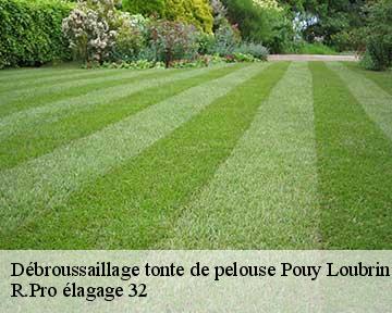 Débroussaillage tonte de pelouse pouy-loubrin-32260 R.Pro élagage 32