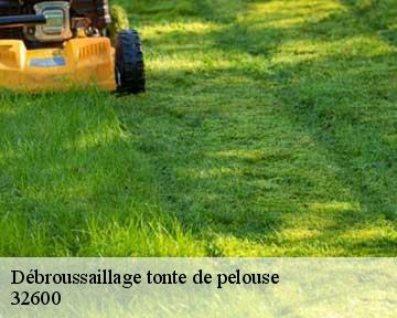Débroussaillage tonte de pelouse 32600