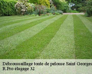 Débroussaillage tonte de pelouse saint-georges-32430 R.Pro élagage 32