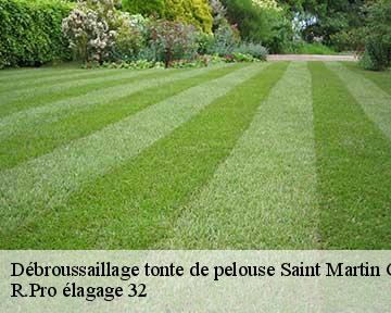 Débroussaillage tonte de pelouse saint-martin-gimois-32450 R.Pro élagage 32