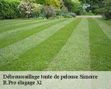Débroussaillage tonte de pelouse simorre-32420 R.Pro élagage 32
