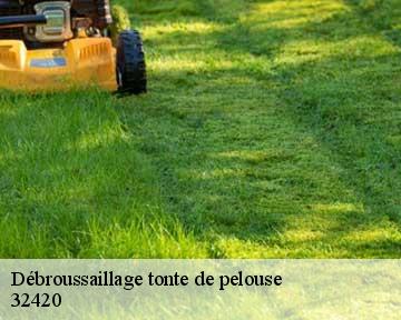 Débroussaillage tonte de pelouse 32420