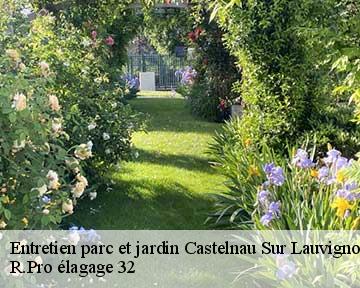 Entretien parc et jardin castelnau-sur-lauvignon-32100 R.Pro élagage 32