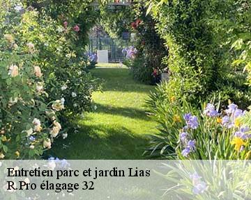 Entretien parc et jardin lias-32600 R.Pro élagage 32