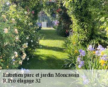 Entretien parc et jardin moncassin-32300 R.Pro élagage 32