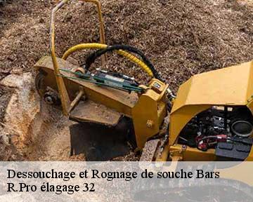 Dessouchage et Rognage de souche bars-32300 R.Pro élagage 32