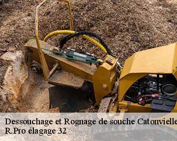 Dessouchage et Rognage de souche catonvielle-32200 R.Pro élagage 32