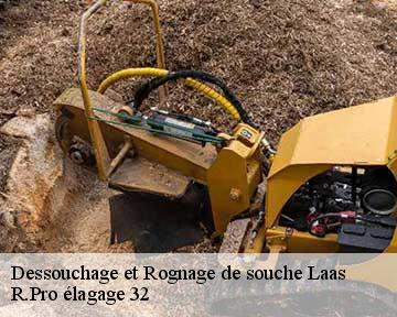 Dessouchage et Rognage de souche  laas-32170 R.Pro élagage 32