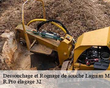 Dessouchage et Rognage de souche  laguian-mazous-32170 R.Pro élagage 32