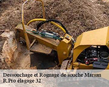 Dessouchage et Rognage de souche marsan-32270 R.Pro élagage 32