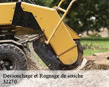 Dessouchage et Rognage de souche 32270