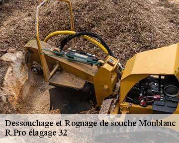 Dessouchage et Rognage de souche monblanc-32130 R.Pro élagage 32