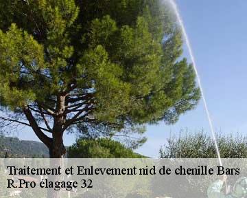 Traitement et Enlevement nid de chenille bars-32300 R.Pro élagage 32