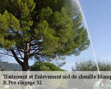 Traitement et Enlevement nid de chenille blanquefort-32270 R.Pro élagage 32