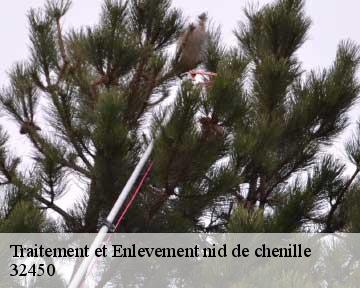 Traitement et Enlevement nid de chenille 32450