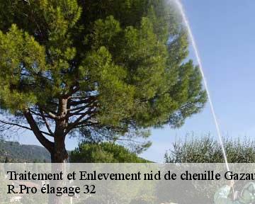 Traitement et Enlevement nid de chenille gazaupouy-32480 R.Pro élagage 32