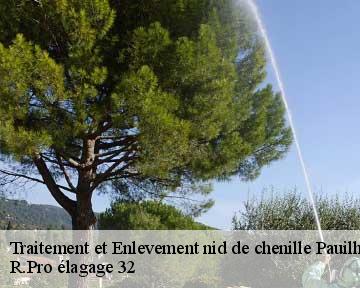 Traitement et Enlevement nid de chenille pauilhac-32500 R.Pro élagage 32