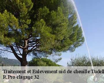 Traitement et Enlevement nid de chenille tudelle-32190 R.Pro élagage 32